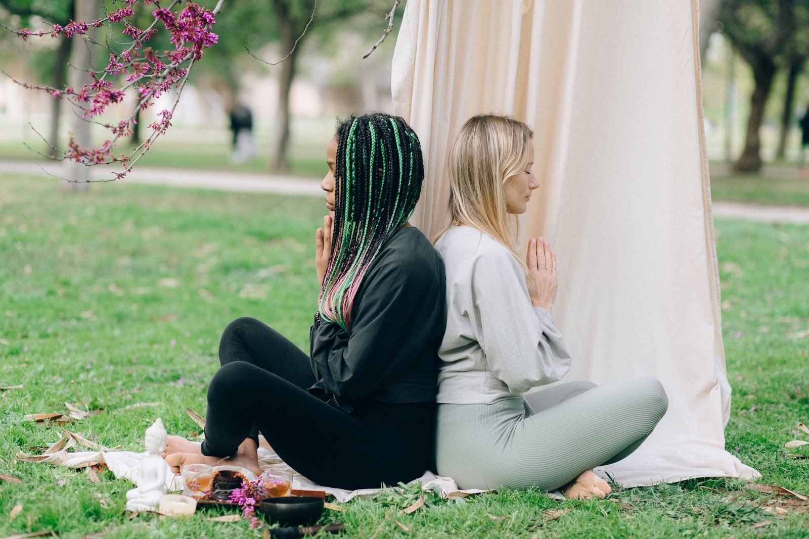 Two friends meditating back to back on the grass