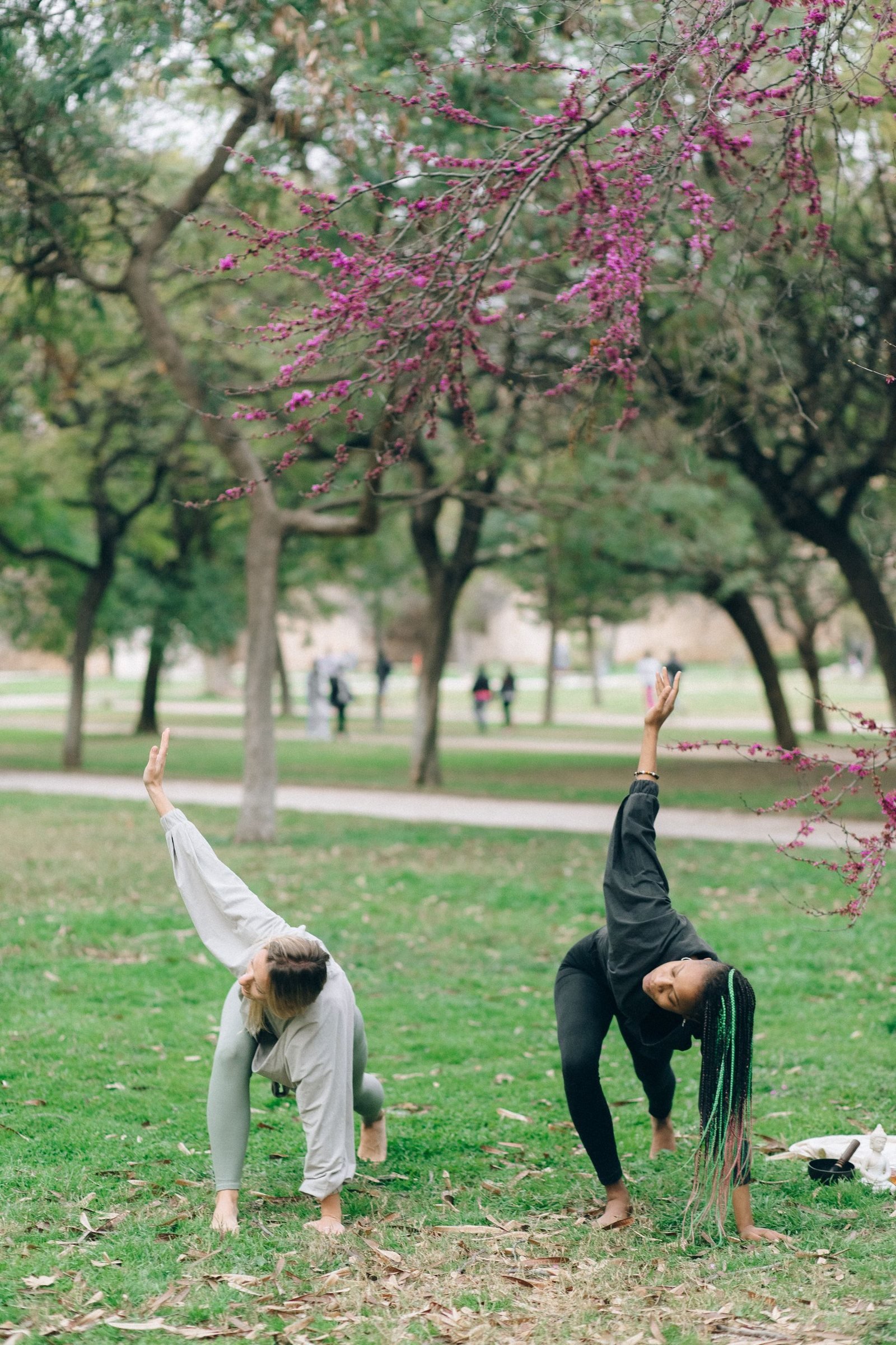 Friends practising gentle movement together in a park